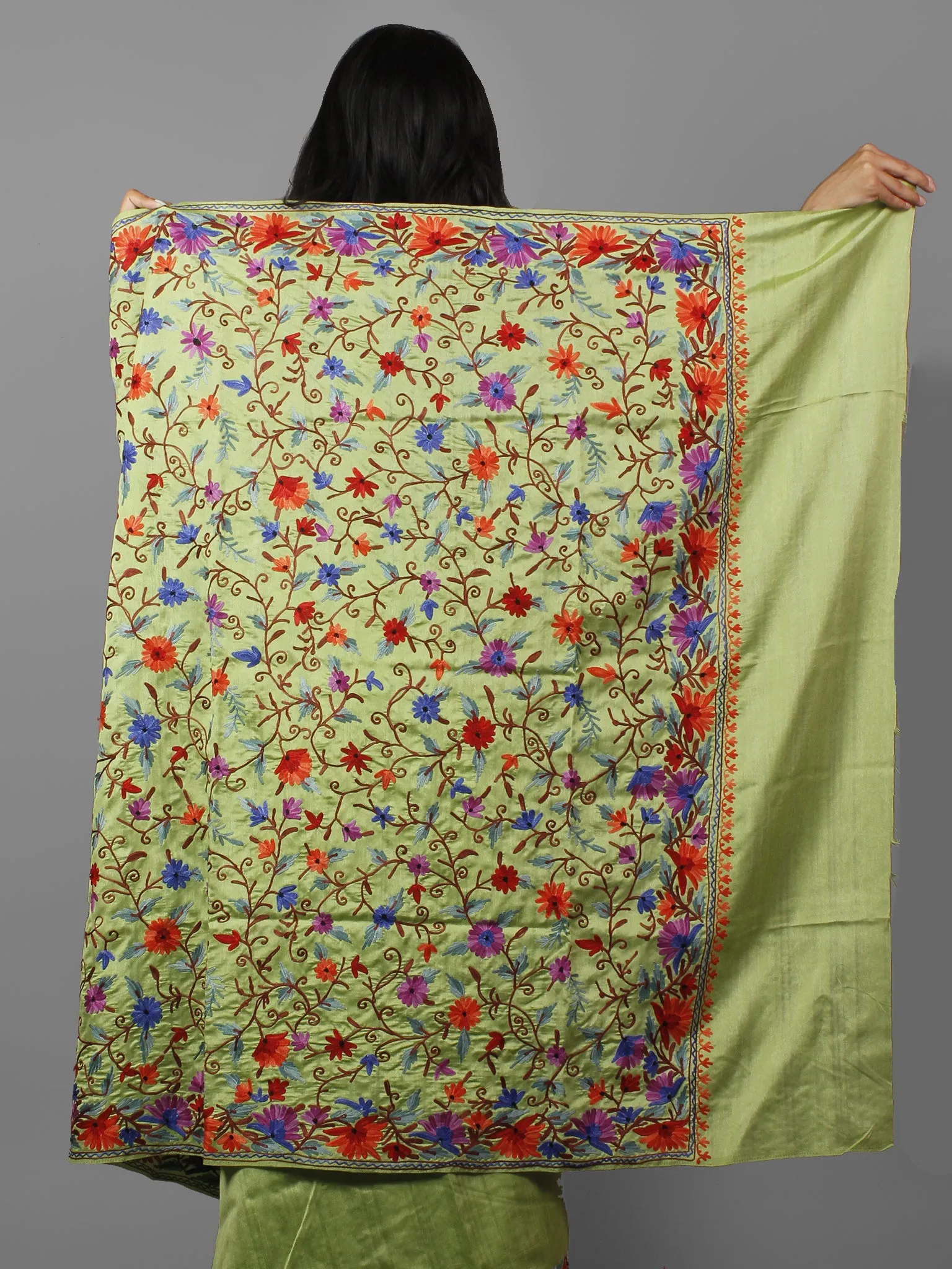 Green Purple Red Brown Aari Embroidered Bhagalpuri Silk Saree From Kashmir  - S031702146