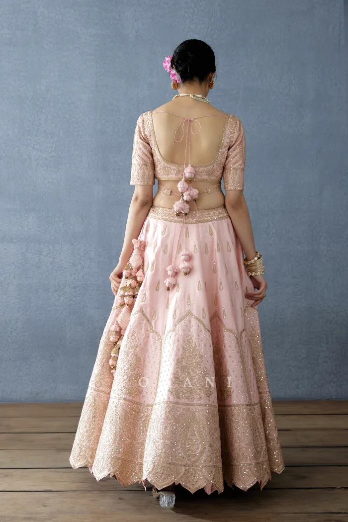 Gul-Mohar Resham Blouse