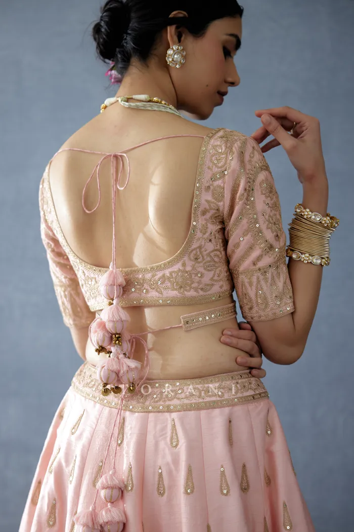 Gul-Mohar Resham Blouse