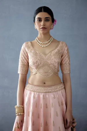Gul-Mohar Resham Blouse