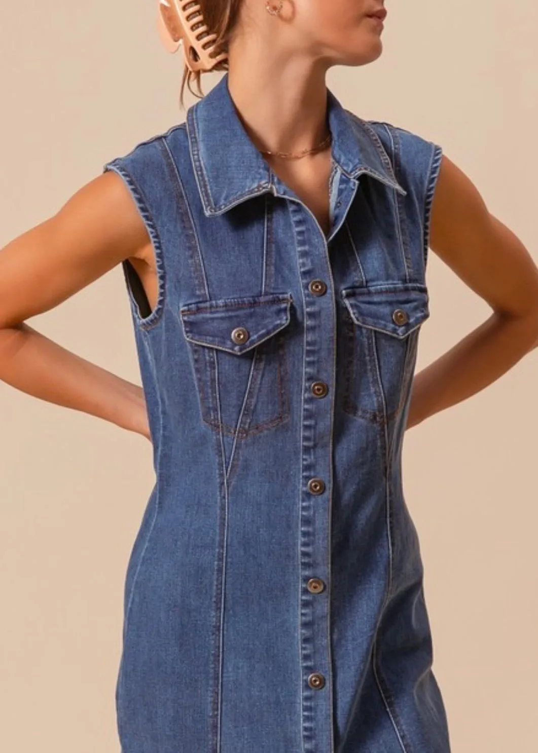 Montana Button Down Denim Dress