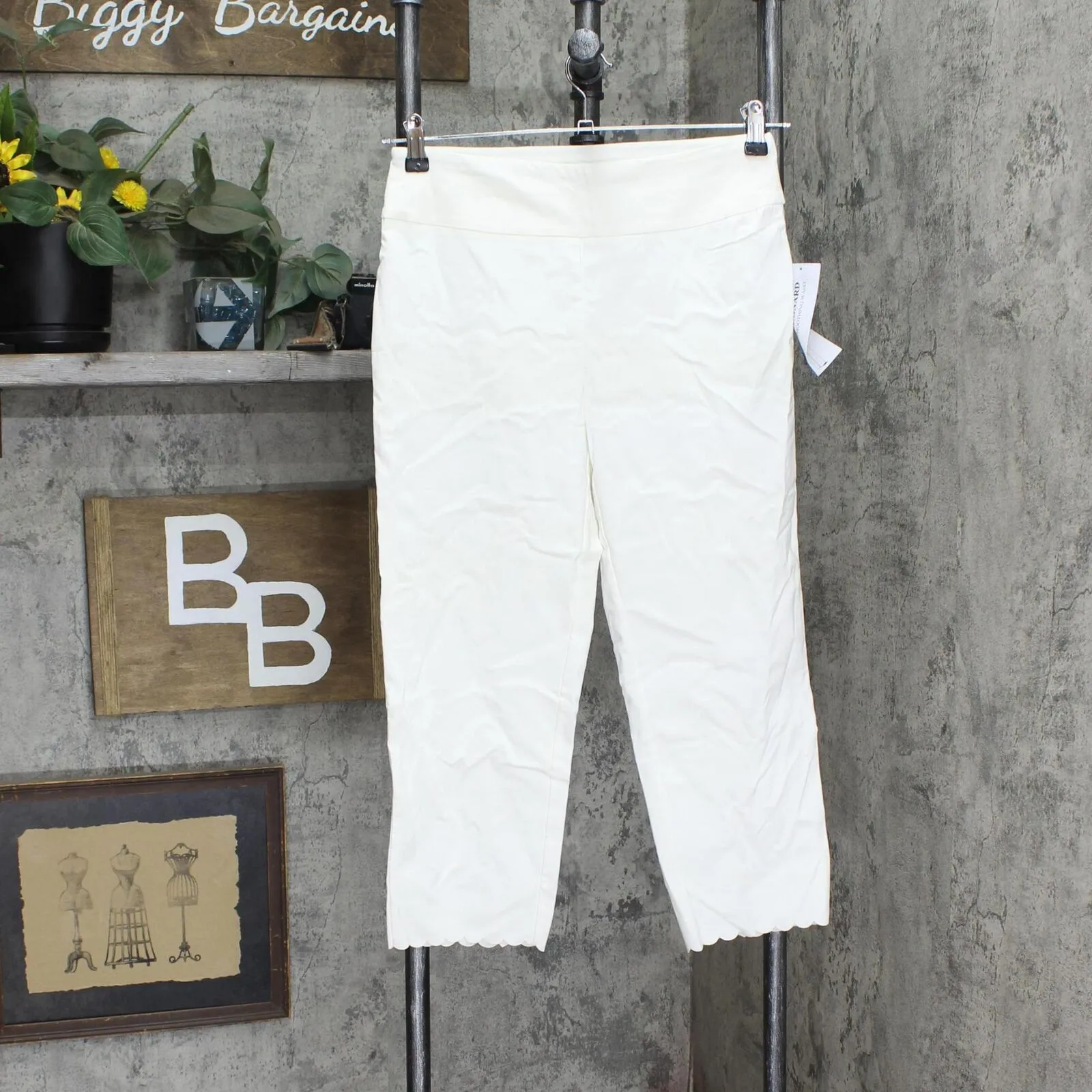 Nina Leonard Womens Pull-On Scallop-Hem Cropped Pant 660168 Ivory Off White S