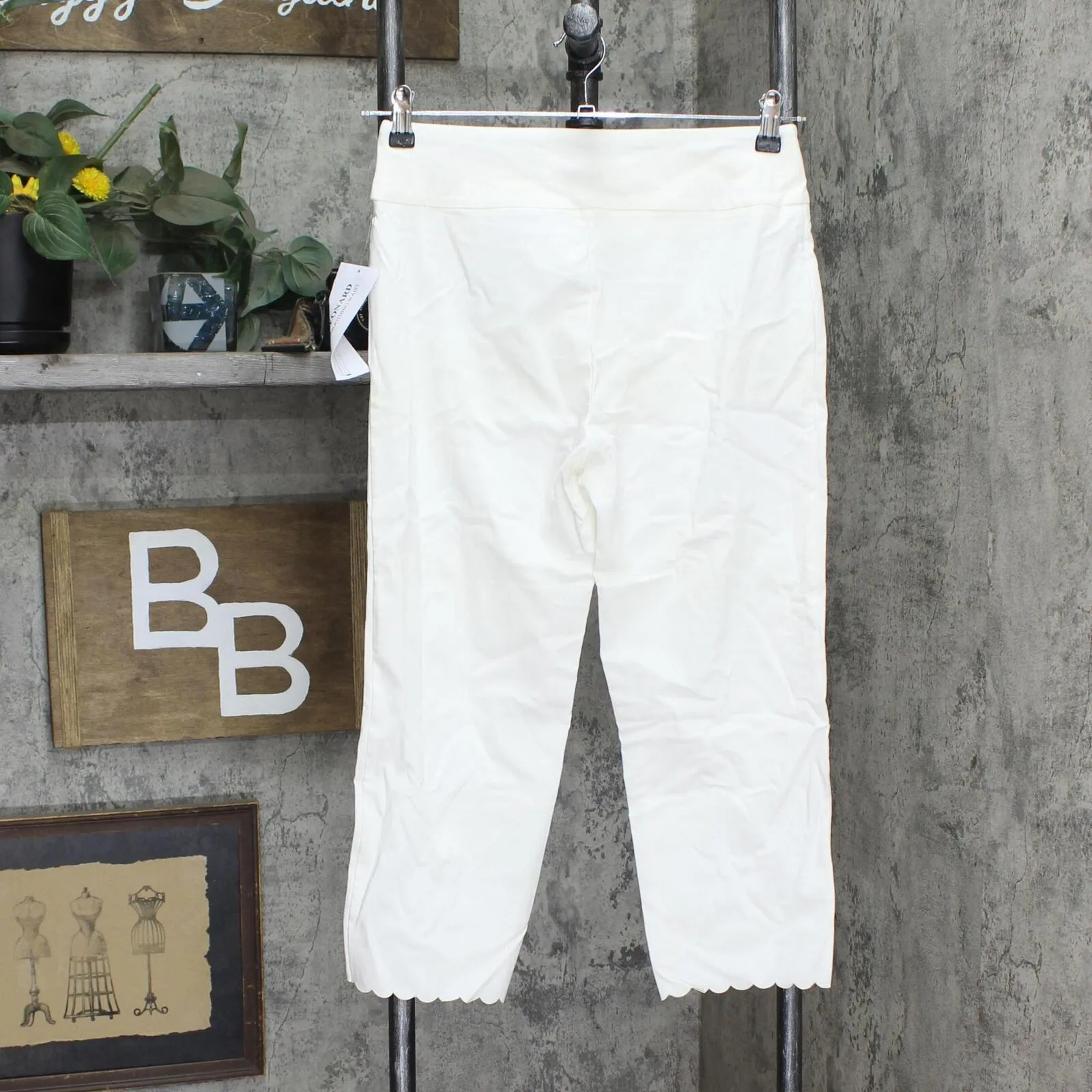 Nina Leonard Womens Pull-On Scallop-Hem Cropped Pant 660168 Ivory Off White S