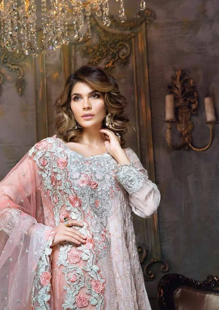 Pakistani Asian Dress in Chiffon Net Embellished Cut work - C546