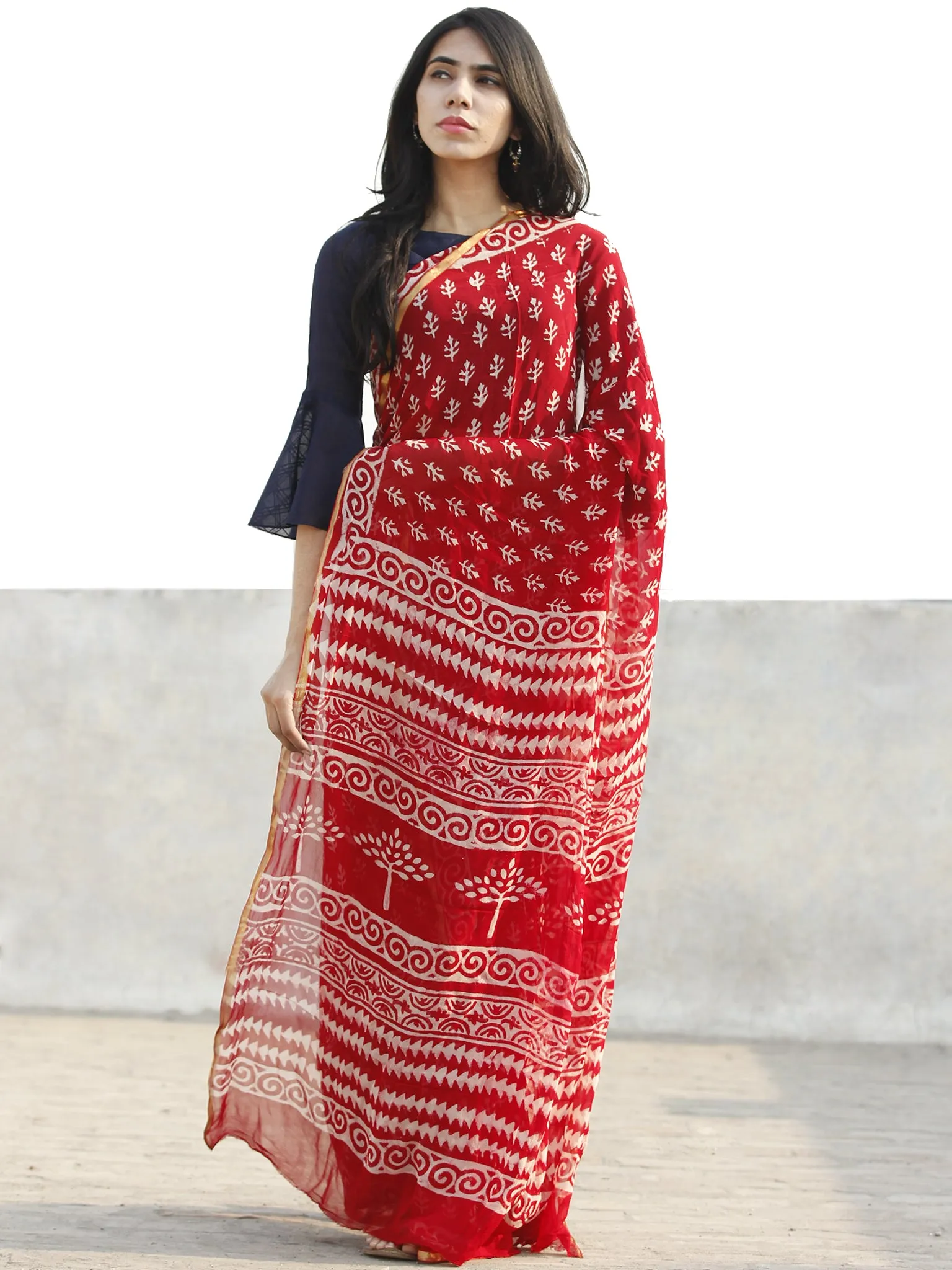 Red  White Hand Block Printed Chiffon Saree with Zari border- S031702694