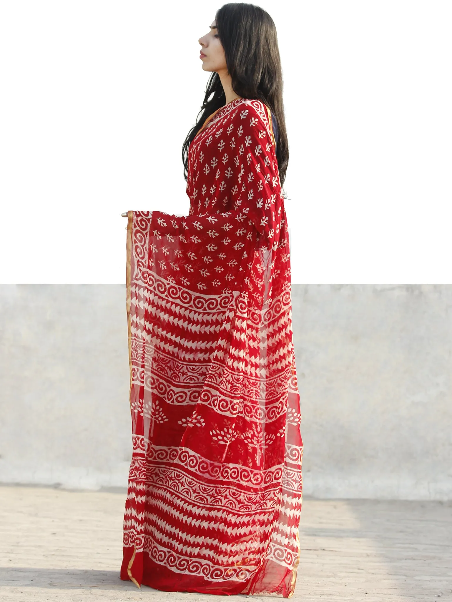 Red  White Hand Block Printed Chiffon Saree with Zari border- S031702694