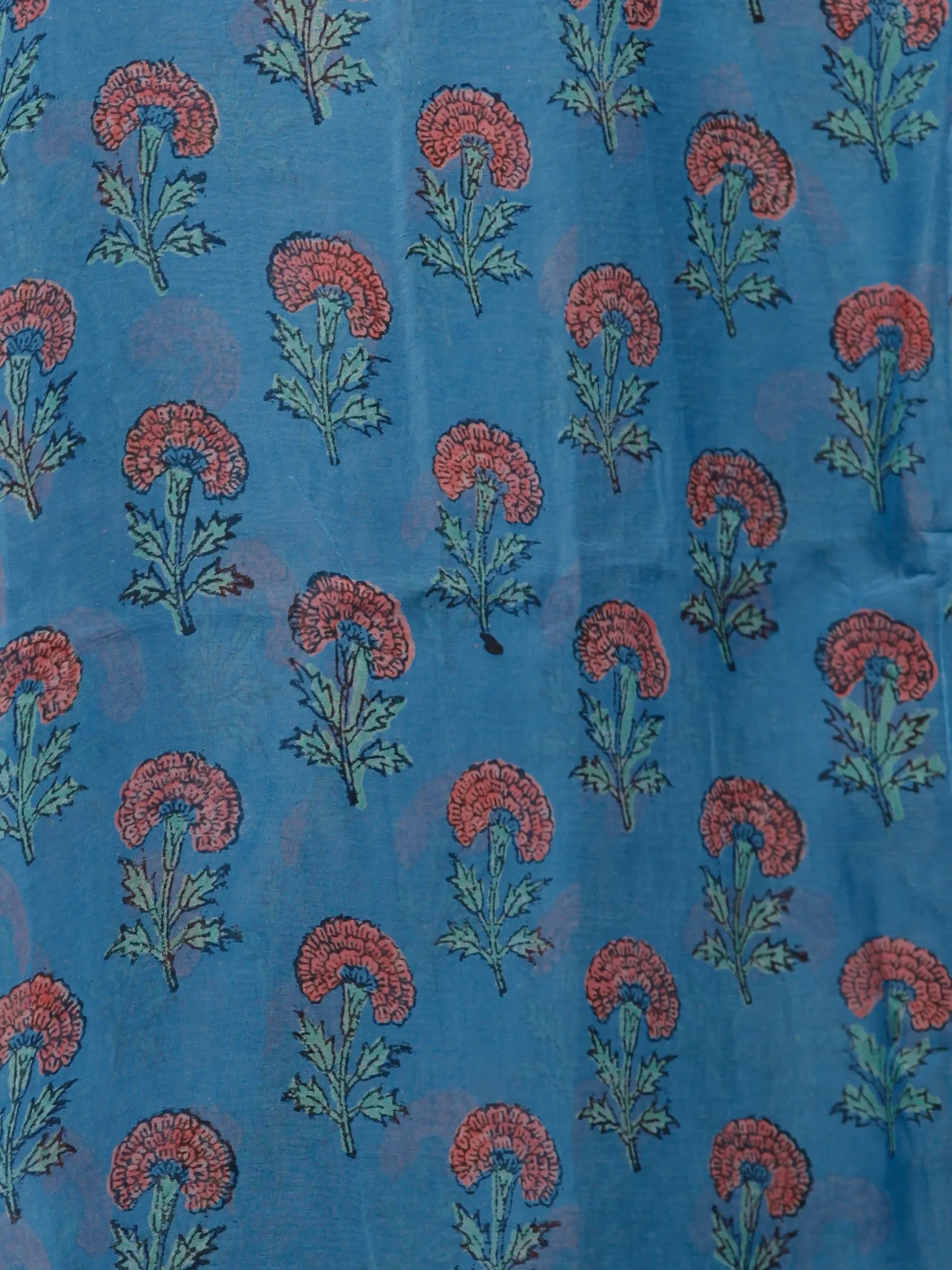 Sky Blue Coral Green Hand Block Printed Chiffon Saree with Zari Border - S031703237