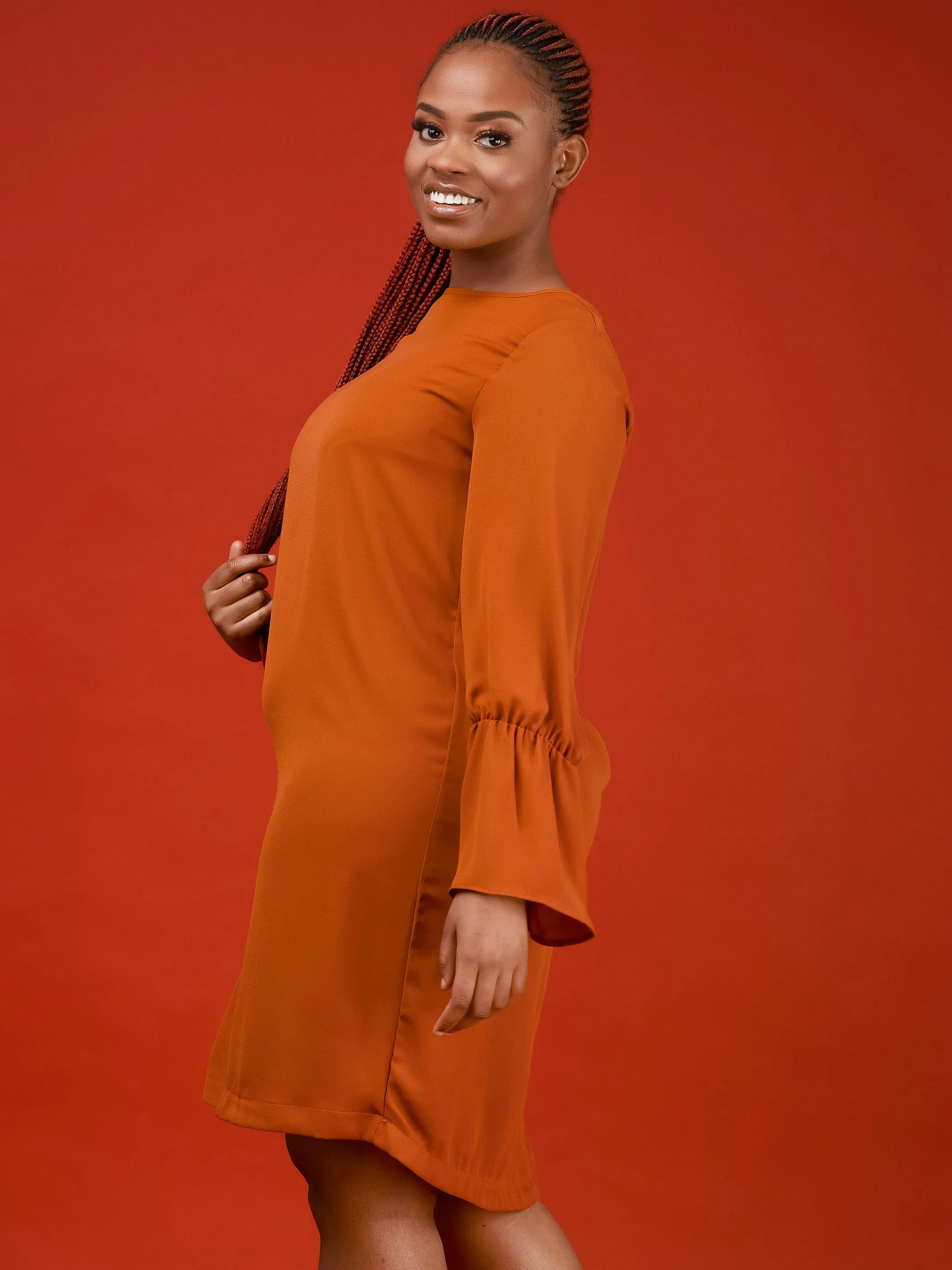 Vivo Tamari Long Sleeve Chiffon Shift Dress - Rust