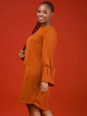 Vivo Tamari Long Sleeve Chiffon Shift Dress - Rust