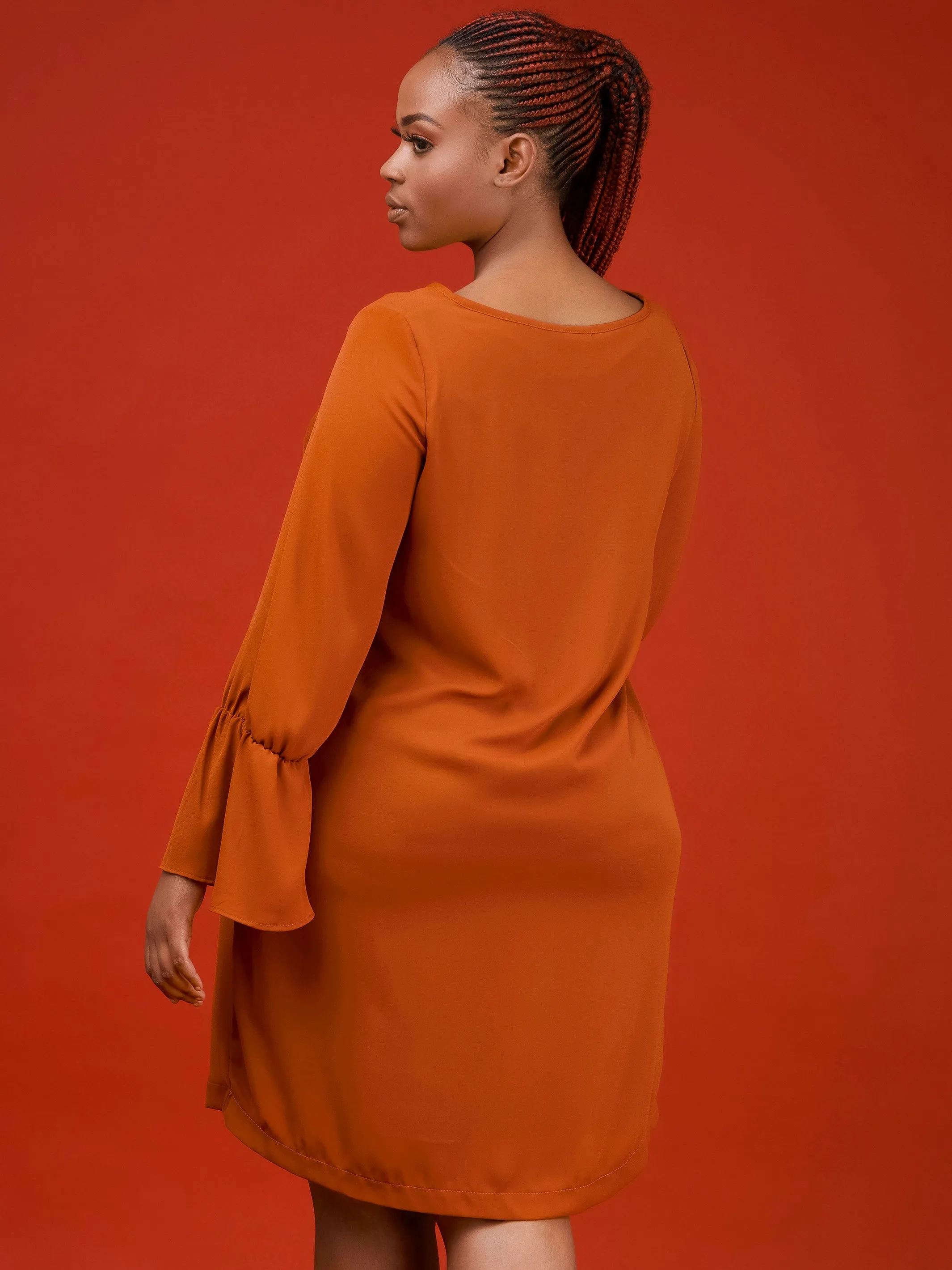 Vivo Tamari Long Sleeve Chiffon Shift Dress - Rust
