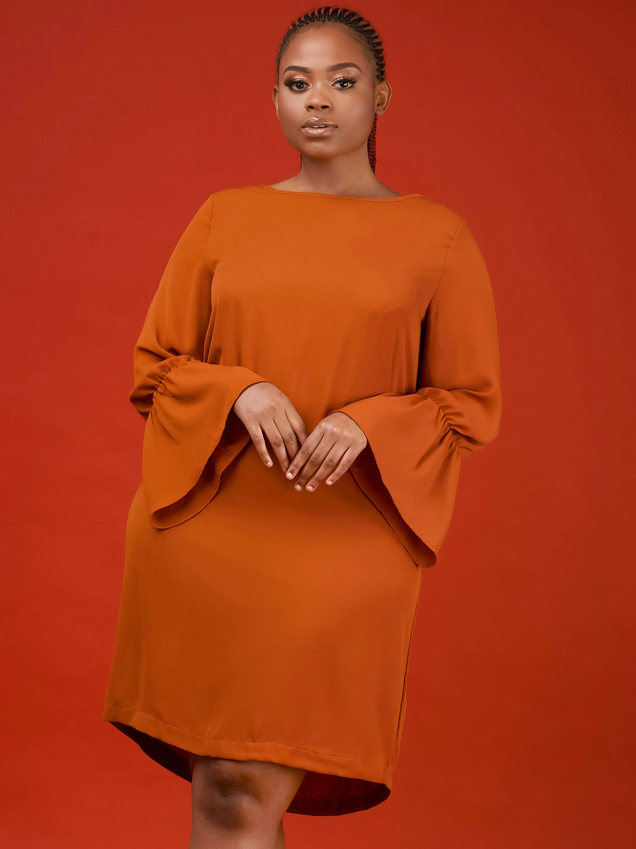 Vivo Tamari Long Sleeve Chiffon Shift Dress - Rust